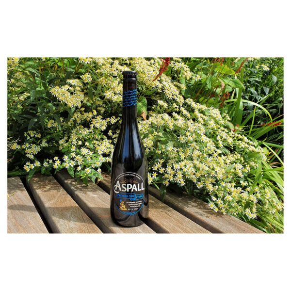 Aspall Premier Cru Cyder 500ml - Image 2