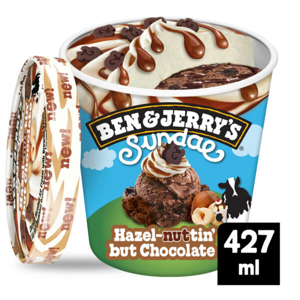 Ben & Jerry's Hazel-nuttin' but Chocolate Sundae Ice Cream