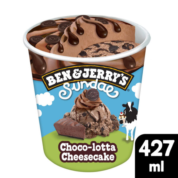 Ben & Jerry's Ice Cream Choco-lotta Cheesecake Sundae 427ml